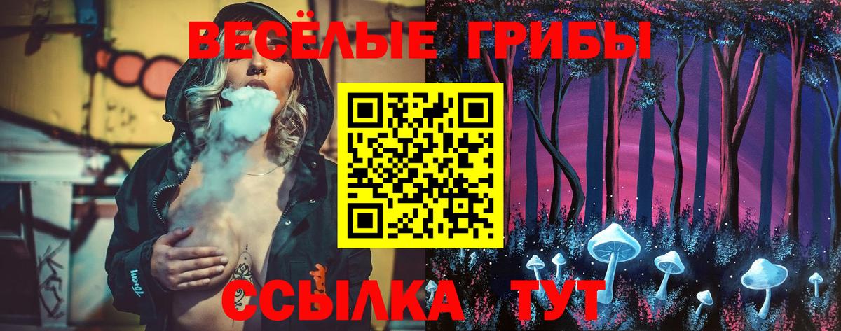 Псилоцибиновые грибы ЛСД  Вход с VPN  Осинники 